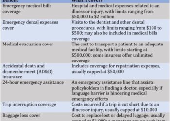 What are travel insurance pre existing conditions? | Insurance Business ...
