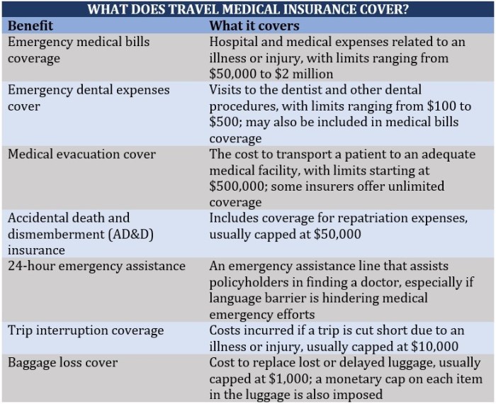 What are travel insurance pre existing conditions? | Insurance Business ... What are travel insurance pre existing conditions? | Insurance Business ...