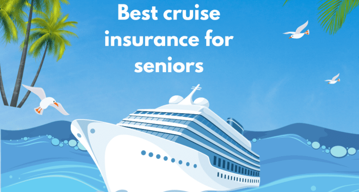 Best Cruise Travel Insurance for Seniors