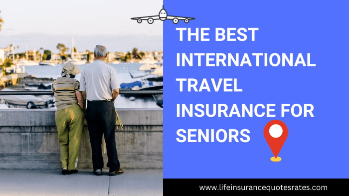 Best Seniors Travel Insurance Over 65 Quotes [Compare Rates]