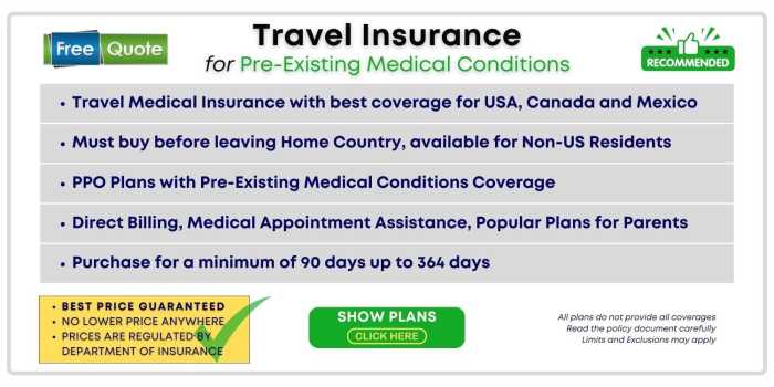 Travel Insurance from India to USA - All You Need to Know - OnshoreKare