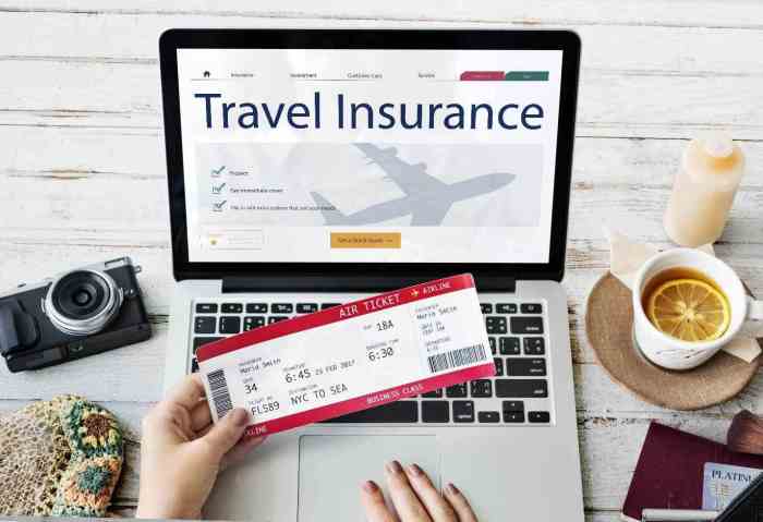 Travel Insurance for Business Travelers - Wander Fost Travel Insurance for Business Travelers - Wander Fost