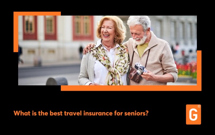 What is the best travel insurance for seniors?