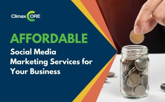 Affordable Social Media Marketing Services Boost Your Online Presence